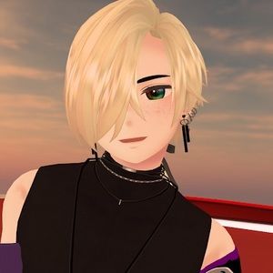 Meet your Posher, Dimitri